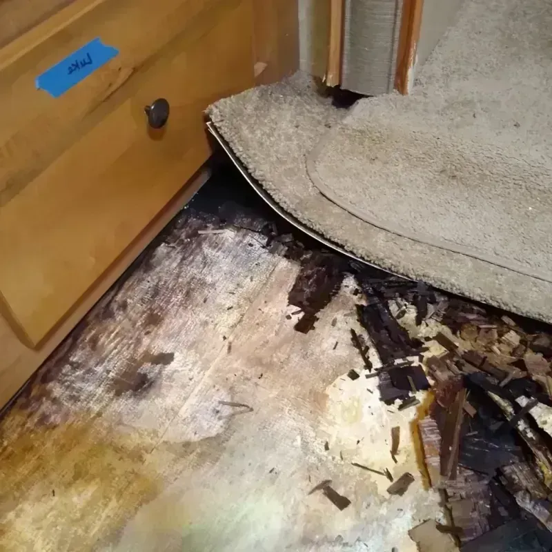 Wood Floor Water Damage in Danville, OH